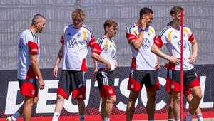 Dem DFB-Team trauen bei der WM nur die wenigsten Bundesligaprofis den ganz großen Wurf zu.