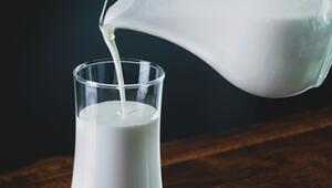 milchindustrie