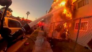 Sekunden vor der Katastrophe: Feuerwehr löscht brennende Bäume vor Wohnkomplex