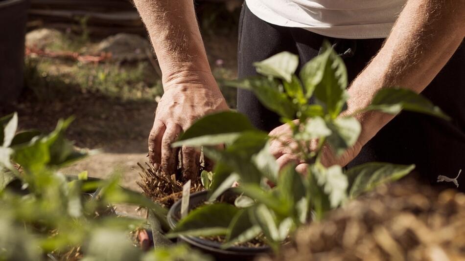 Bei der Gartenarbeit kannst du nicht nur deine Pflanzen pflegen, sondern kommst auch mehr in ...