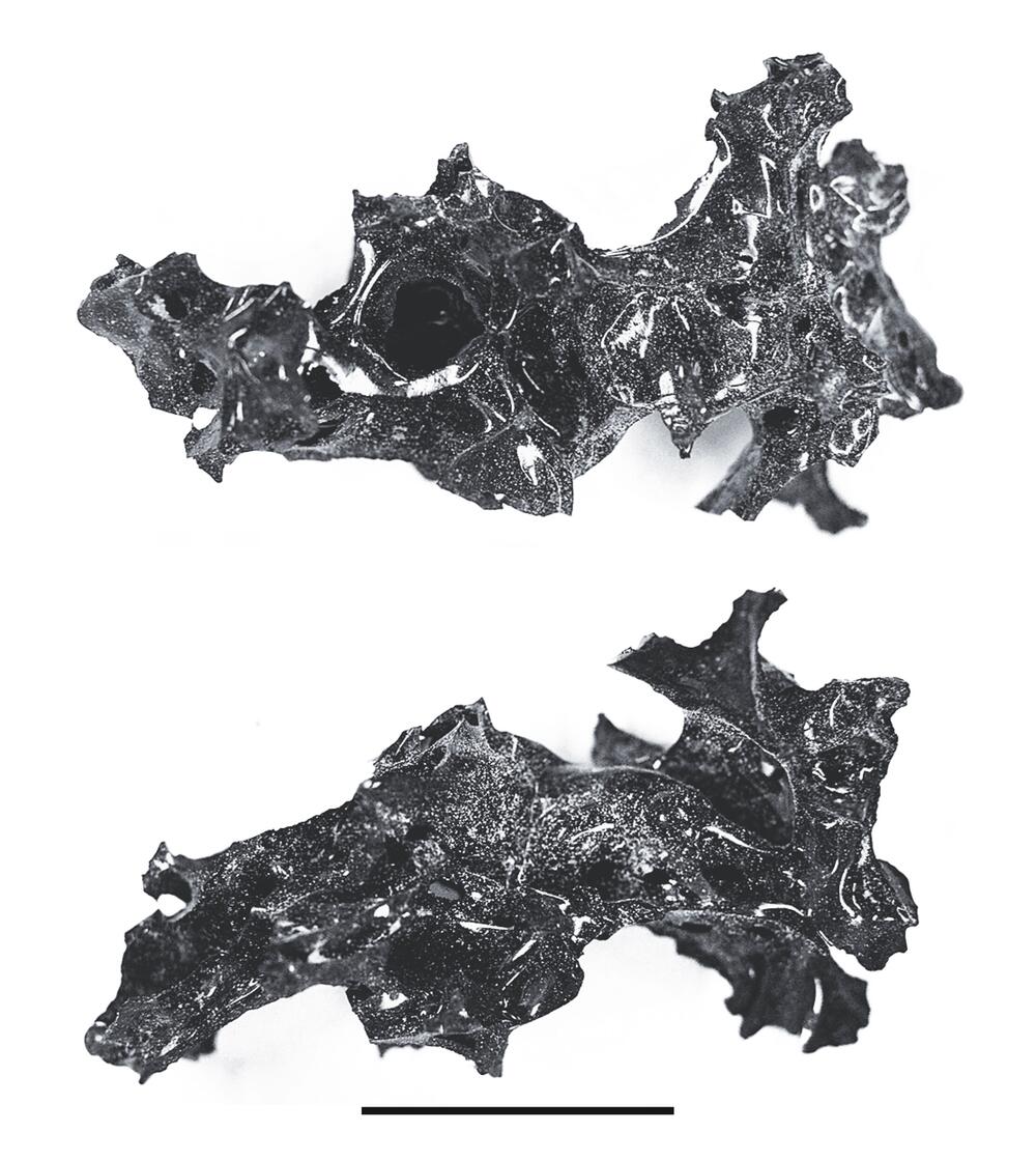 Schwarze Glasfragmente aus organischem Material