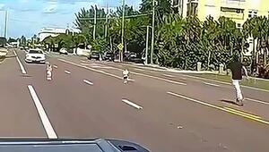 Mutiges Eingreifen: Fahrer rettet Kleinkinder von mehrspuriger Straße