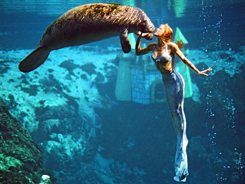 Die Meerjungfrauen in Floridas Weeki Wachee | GMX.AT