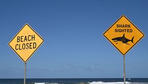 Tödlicher Hai-Angriff vor australischer Ostküste