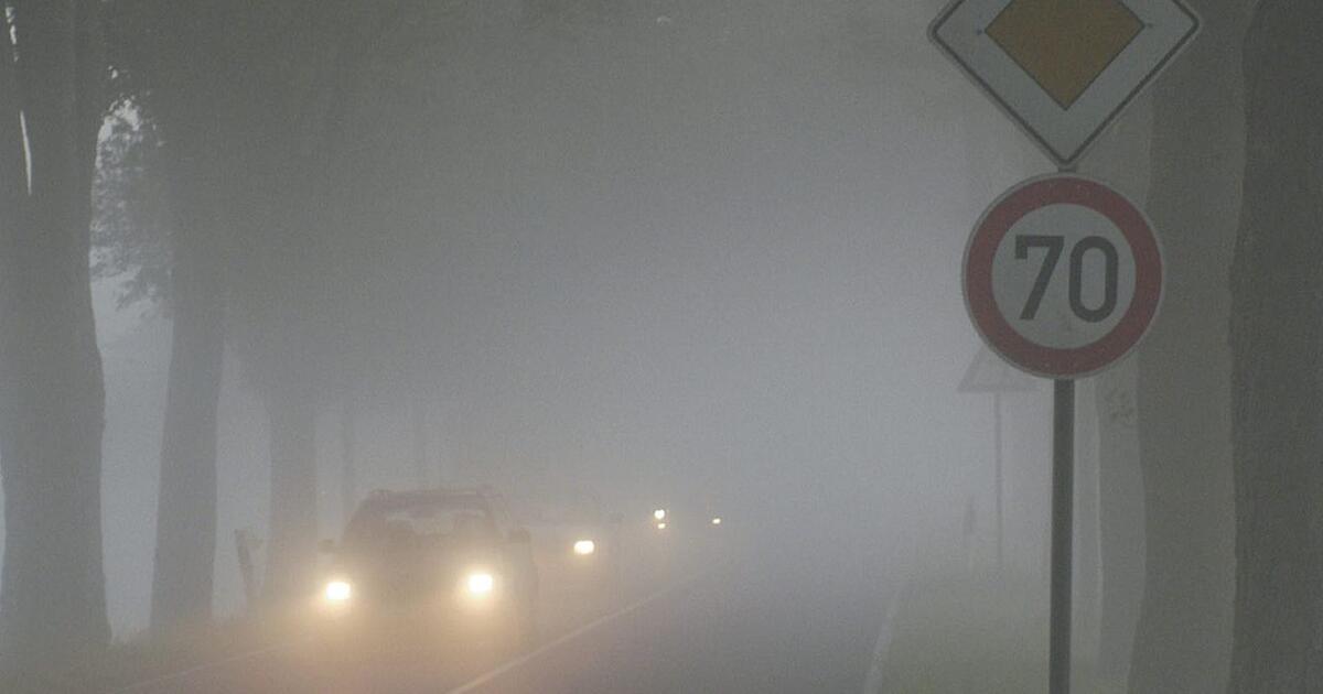 Autofahren Im Herbst So Reagieren Sie Richtig Auf N Sse Nebel Und