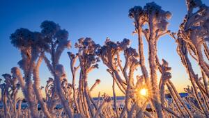 Winterwetter in Brandenburg