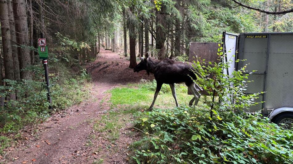 Am Montag kam "Emil" im Böhmerwald an.
