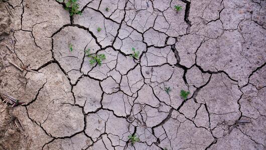 Luftaufnahme von Erdboden, der aufgrund von Austrocknung aufspringt und Risse bildet