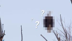 Welches Tier suchen wir?