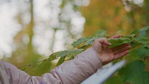 KORREKTUR: Pollenforschung mit KI soll Allergien eindämmen