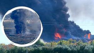 Kühltürme niedergebrannt: Riesiges Feuer bricht in stillgelegtem AKW in Texas aus