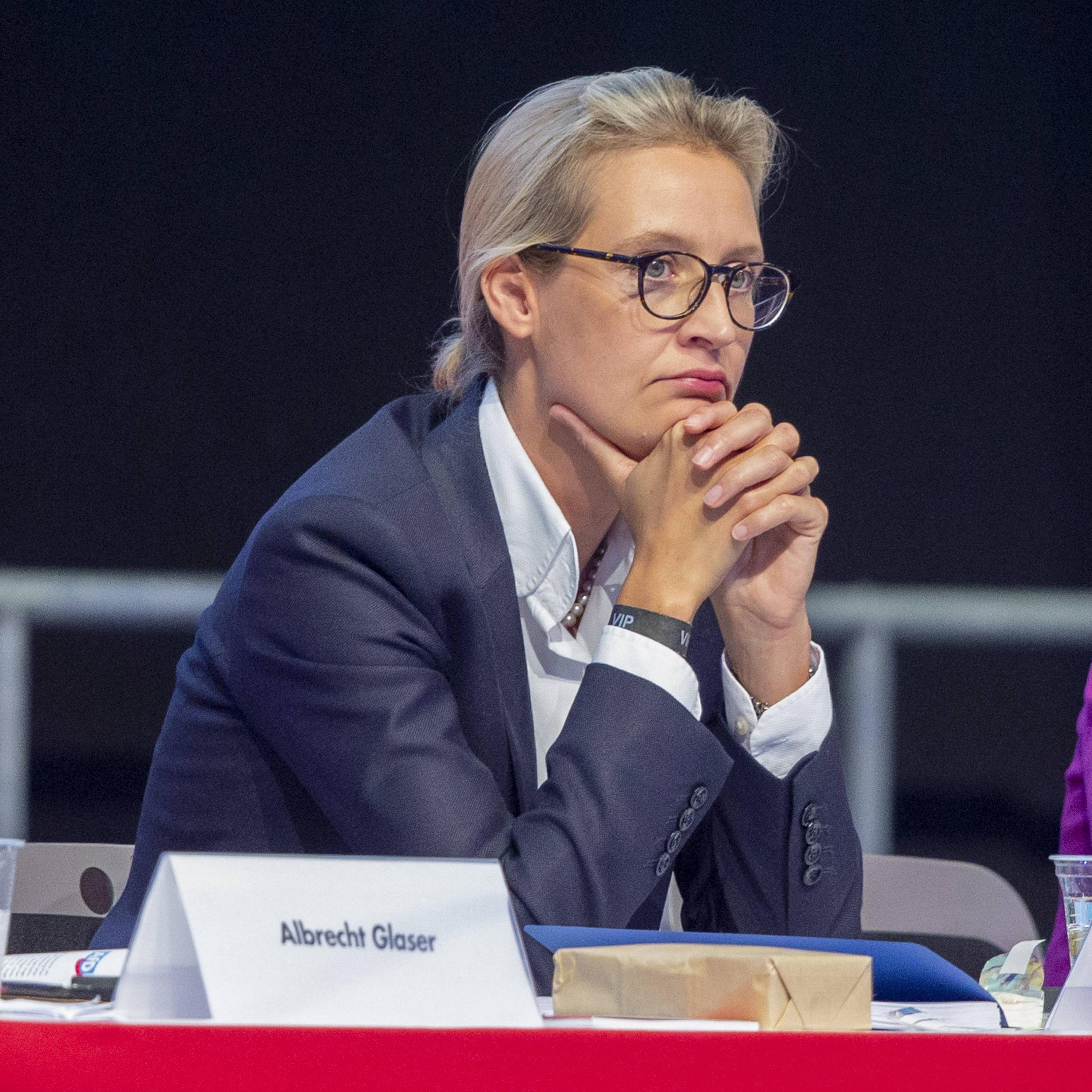 Alice Weidel | Steckbrief, Bilder und News | GMX.AT