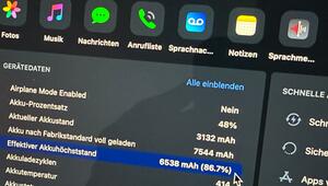 iPad-Gerätedaten zum Akkuzustand