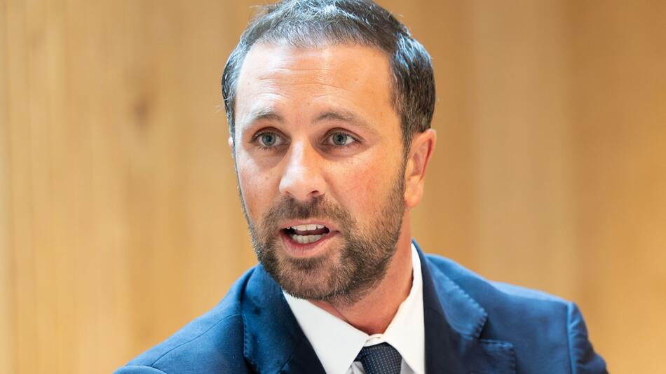 Dornauer, Politik, Österreich