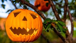 Halloween-Kürbis