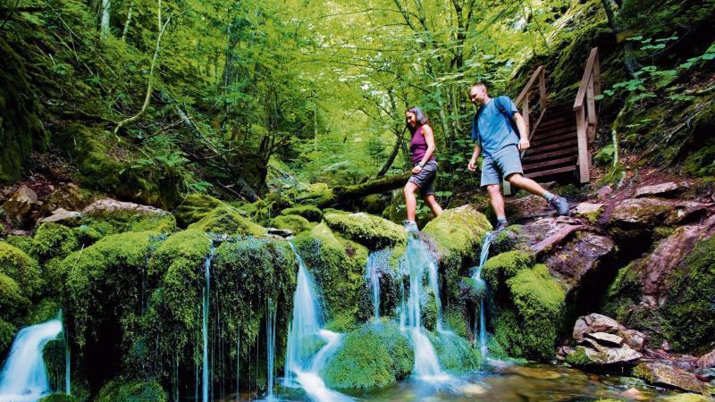 Fundy-Nationalpark