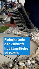 Künstliche Muskeln: Das Roboterbein der Zukunft hüpft über jedes Terrain