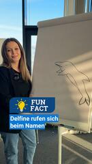 Fun Fact: Delfine rufen sich beim Namen