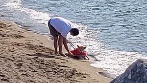 Rührende Szene: Mann hilft behindertem Hund beim Apportieren