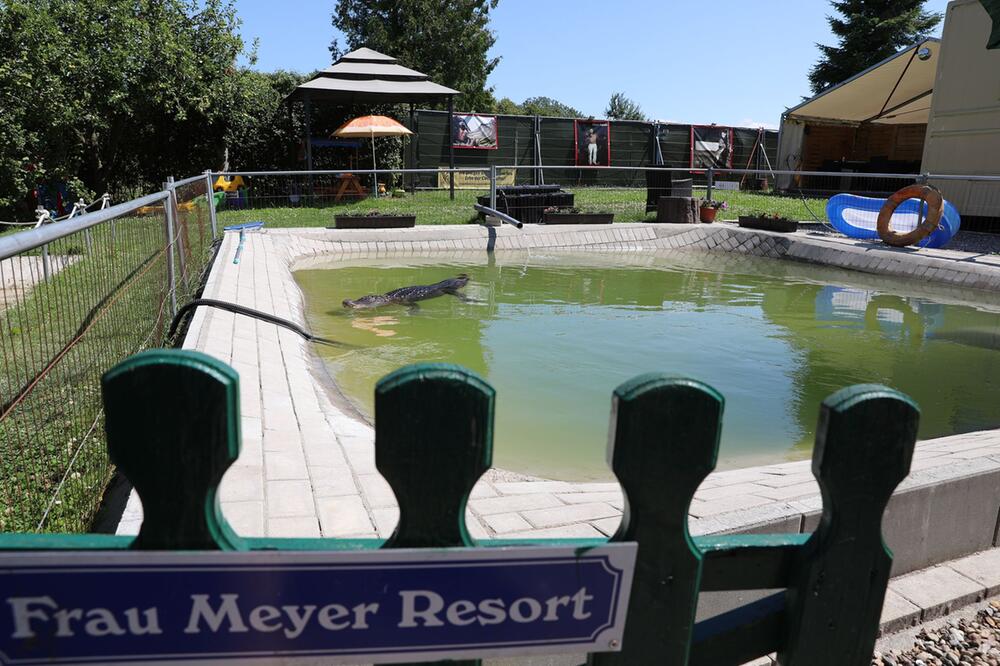 Alligator-Dame Frau Meyer im Gartenpool