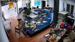Fürs Handy baden gegangen: Frau klettert in Sekundenschnelle in Aquarium