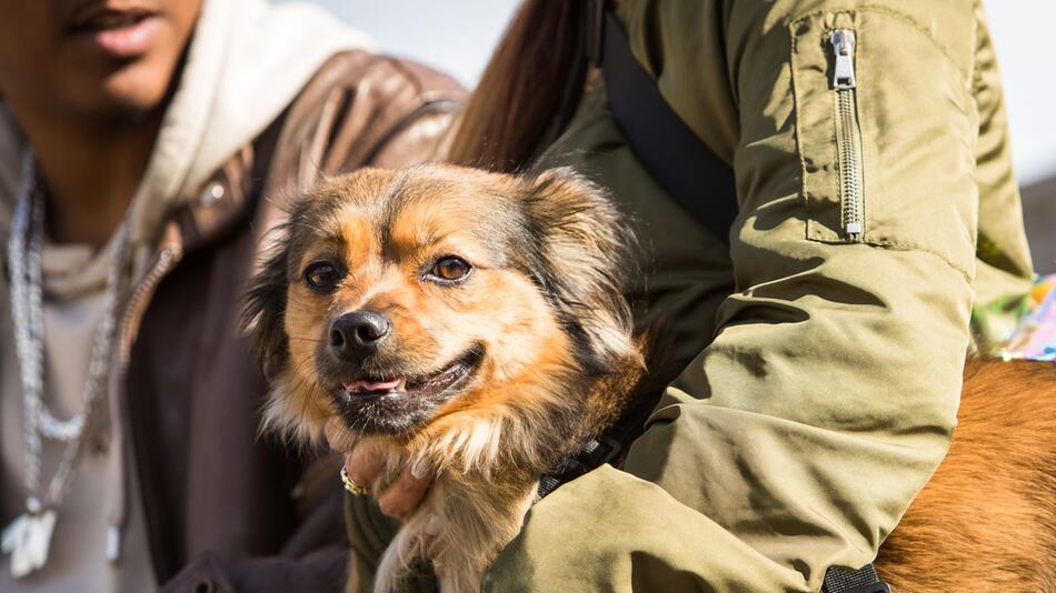Ein Paar mit Hund