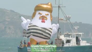 Trump-Huhn, Ballon, Häftlingskostüm, San Francisco