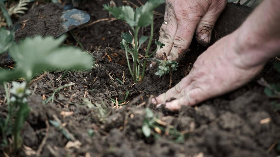 Gartenarbeit