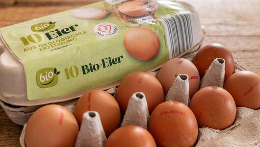 Eier