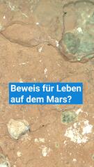 Leben auf dem Mars: Liefern diese grünen Flecken jetzt den Beweis?