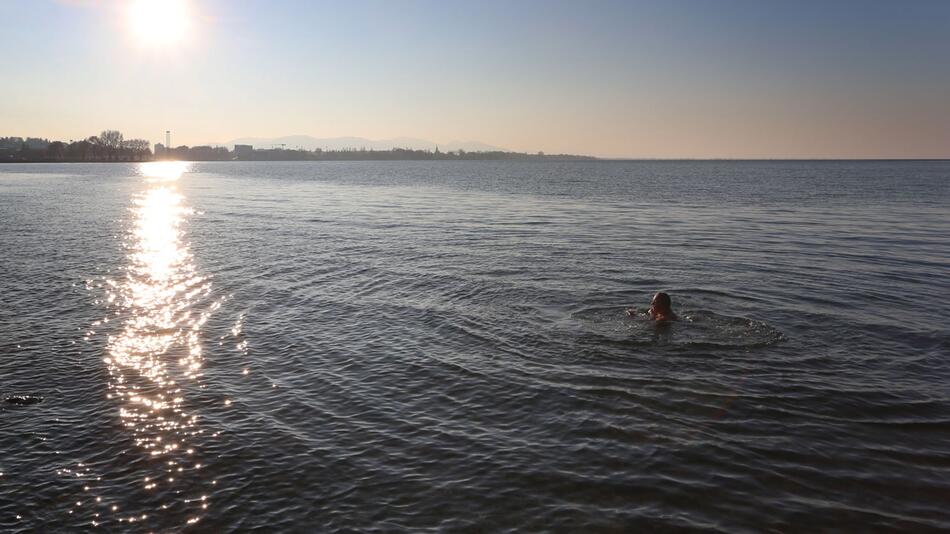 Schwimmerin im Bodensee