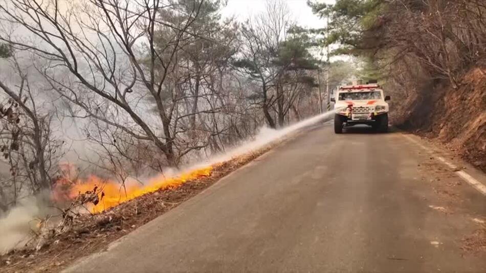 Verheerende Waldbrände in Südkorea