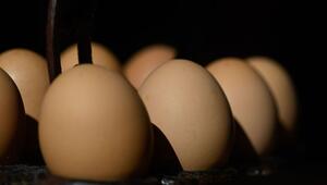 Eier im Karton: Regierung definiert Grundnahrungsmittel