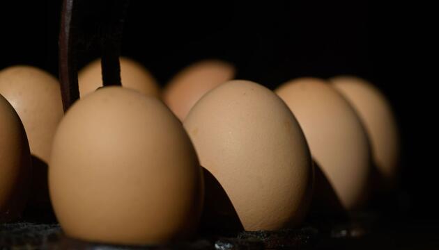 Eier im Karton: Regierung definiert Grundnahrungsmittel