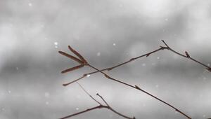 Schnee, Frost und Wind: So startet das Wochenende in Deutschland