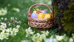 Osternester können im Freien versteckt werden