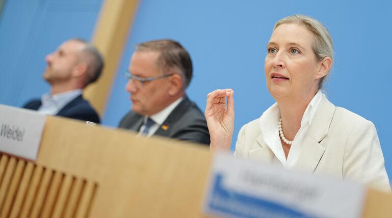 Nach der Landtagswahl in Sachsen-Anhalt - AfD
