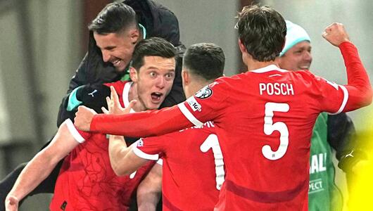 Michael Gregoritsch hat das ÖFB-Team zur WM geschossen.