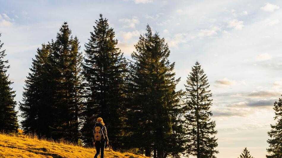 Eine Frau wandert am Feldberg